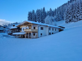 Luxurious Apartment in Kaltenbach near Ski Area, Kaltenbach